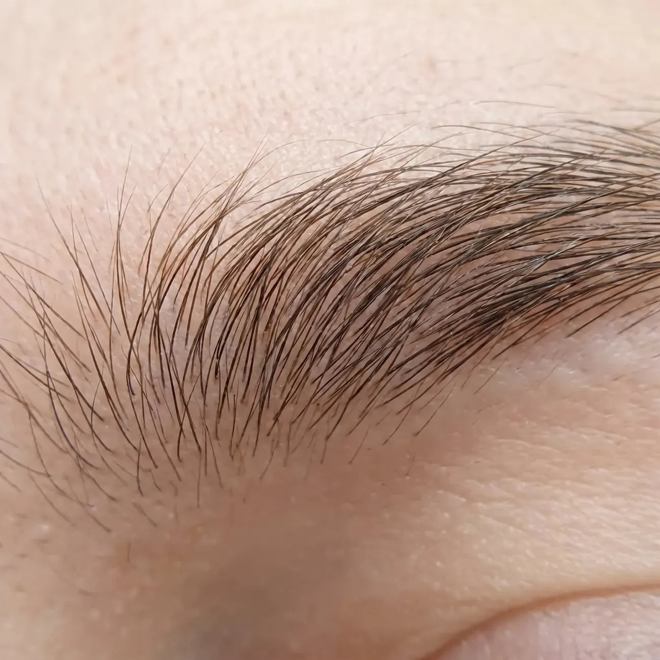 Tight finished-brow close-up, strokes reading as real hair